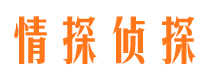 京口侦探